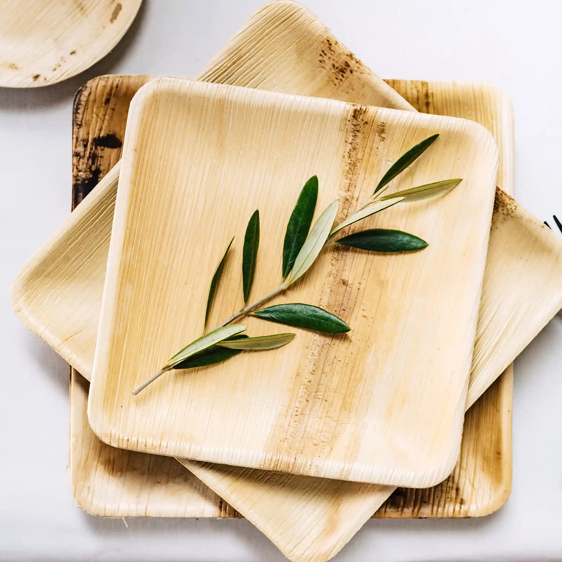 Assiettes carrées en feuille de palmier empilées avec une branche d'olive verte sur le dessus, montrant leur texture naturelle.