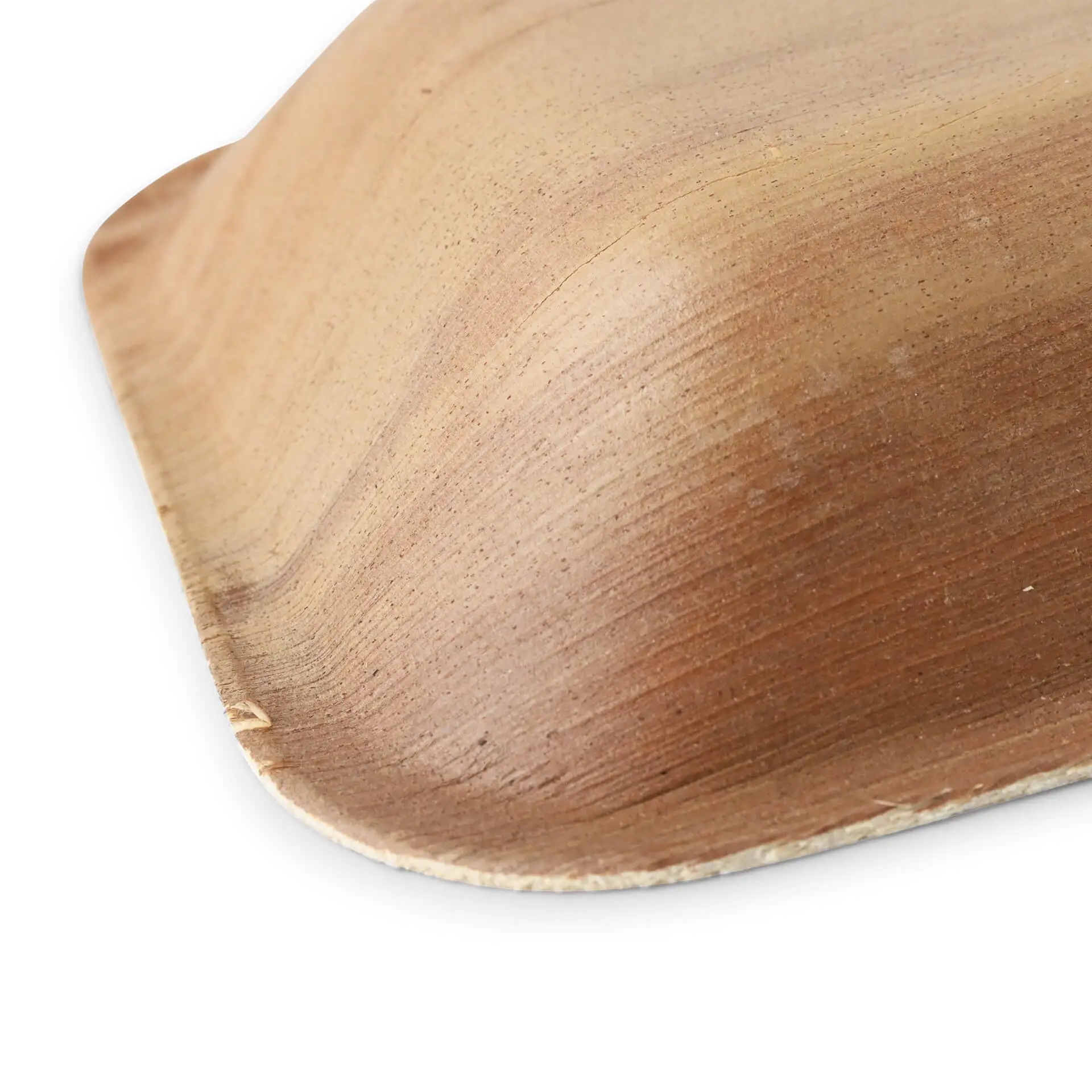 dtw05330-palmblatt-teller-palmware-16-x-13-cm-tief-rechteckig-3