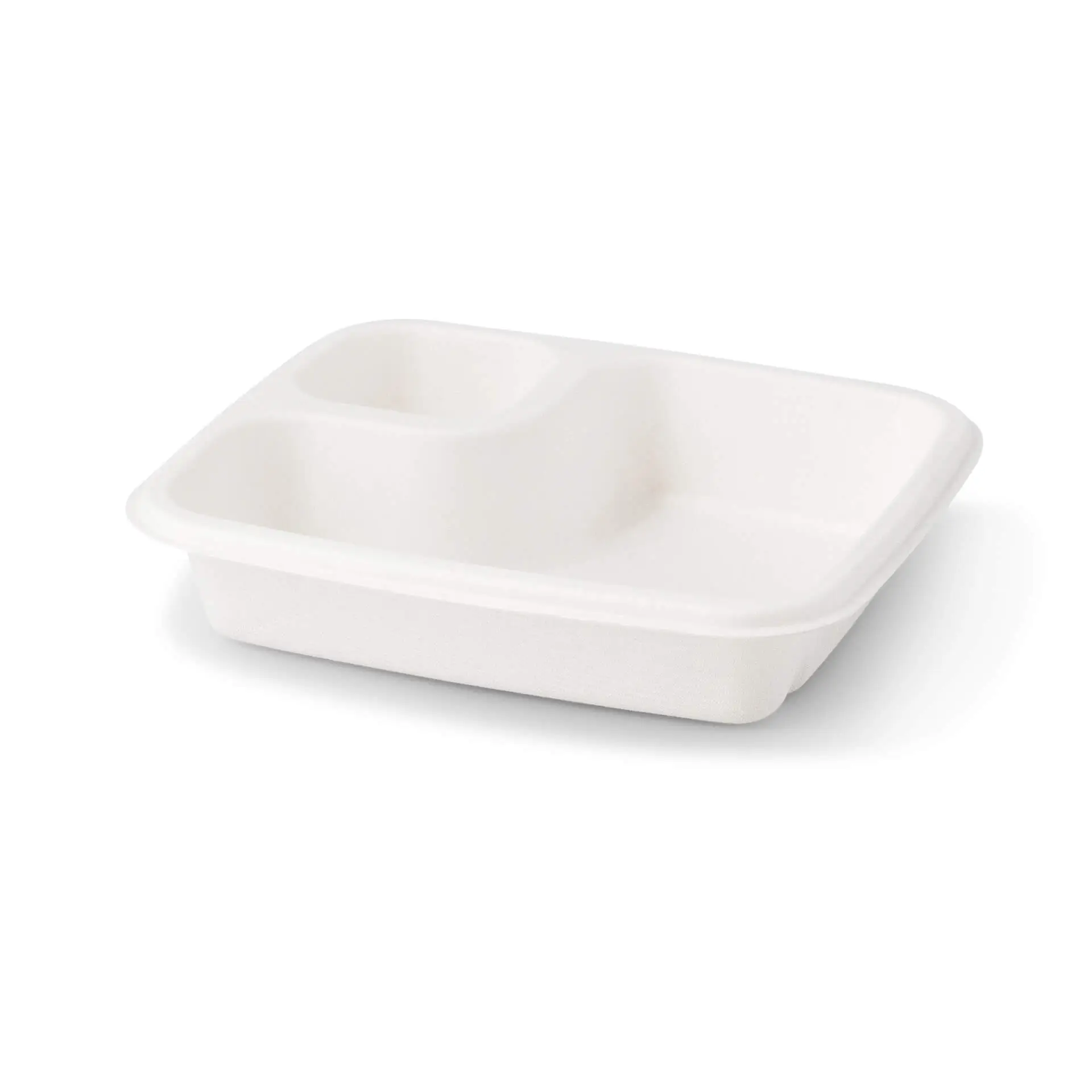 dtw01445-dip-teller-aus-zuckerrohr-165-x-19-cm-rechteckig-1