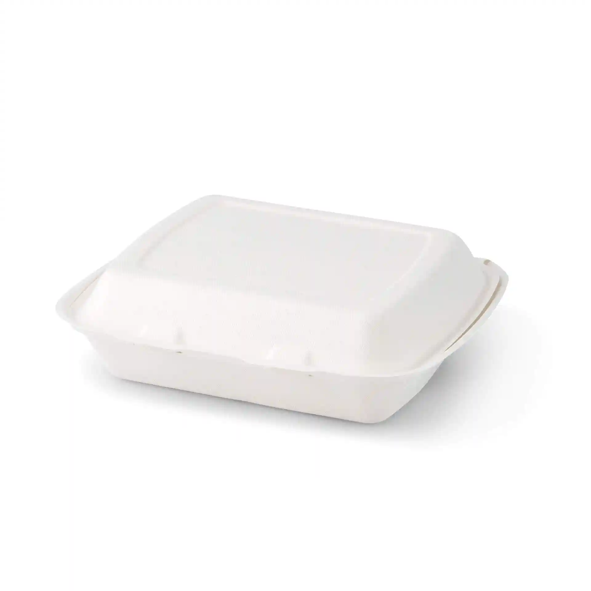 Conteneur rectangulaire en canne à sucre blanc avec couvercle à charnière et trois compartiments, mesurant 25 x 20 x 7,5 cm.