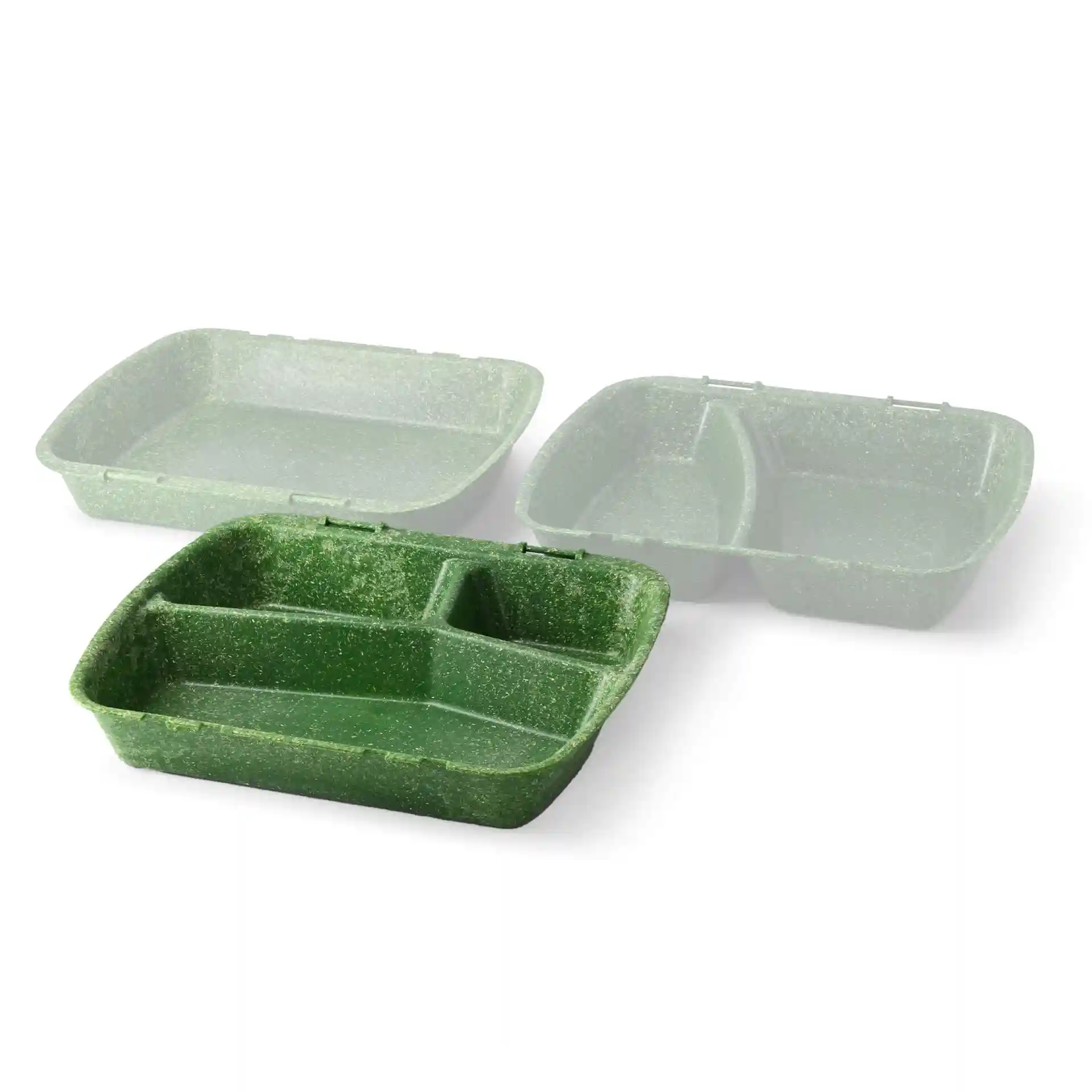 Conteneur de repas réutilisable avec trois compartiments en vert épinard, dimensions 24,5 x 20 x 4,5 cm.