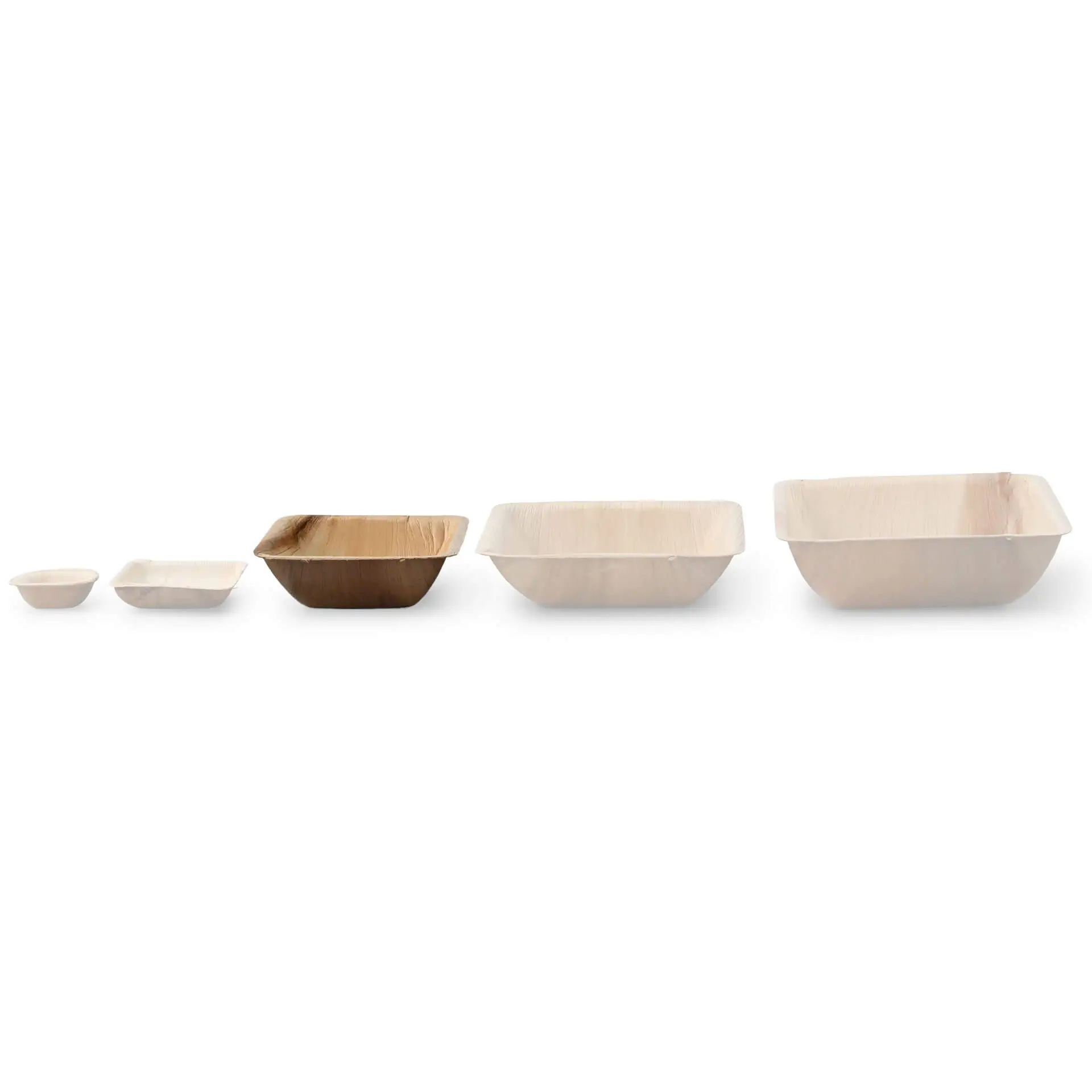 dtw05571-palmblatt-schalen-palmware-300-ml-quadratisch-9
