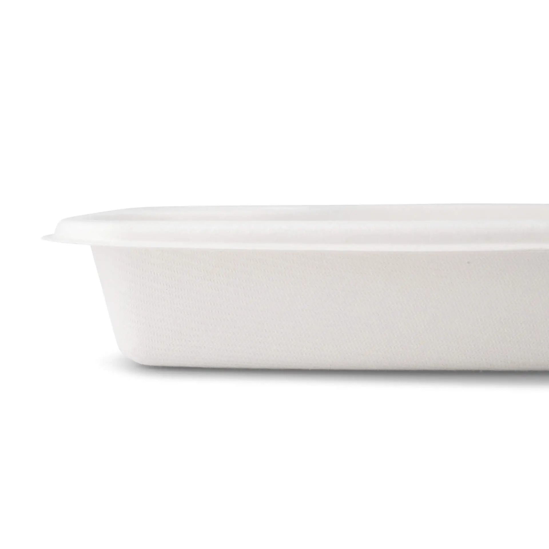 dtw01445-dip-teller-aus-zuckerrohr-165-x-19-cm-rechteckig-2