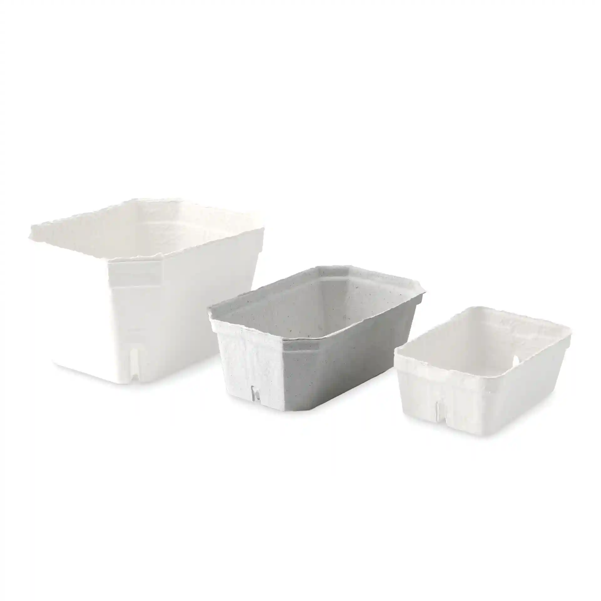 Trois barquettes en pulpe de bois pour baies en blanc et gris, de tailles variées, présentées sur un fond uni.