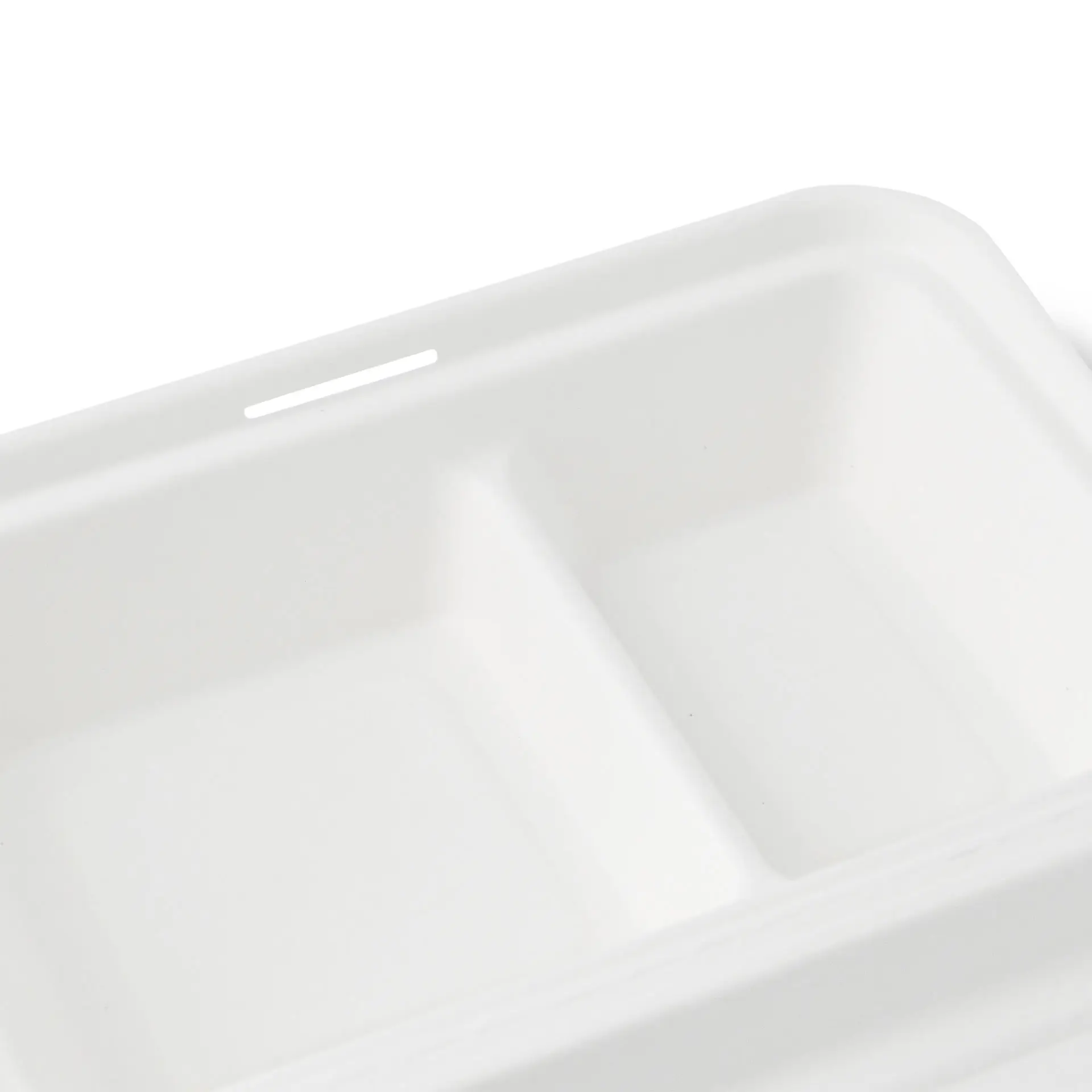 dfc01227-menueboxen-aus-zuckerrohr-25-x-165-x-61-cm-2-kammern-klappdeckel-rechteckig-3