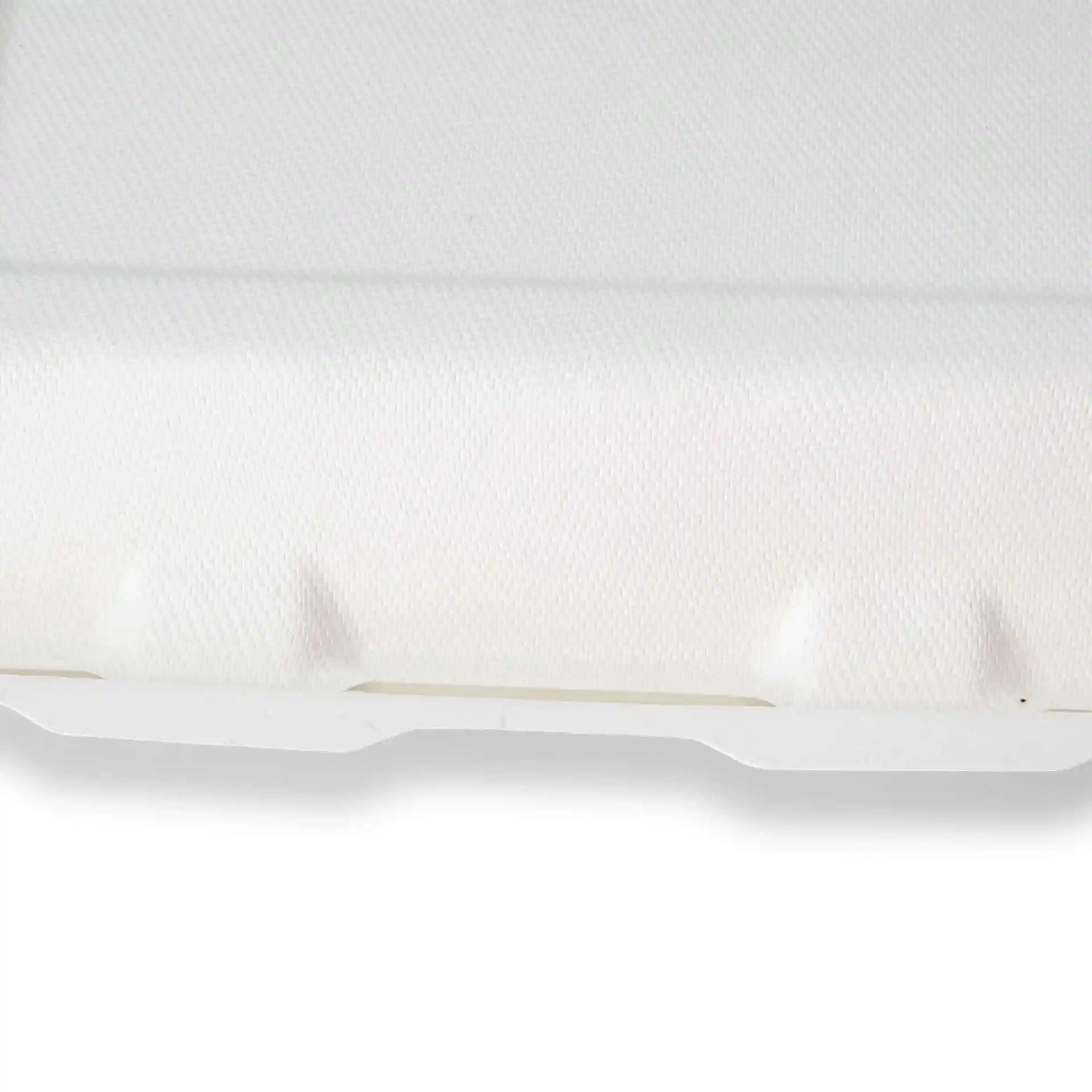 Conteneur rectangulaire blanc en canne à sucre avec couvercle à charnière et trois compartiments, mesurant 25 x 20 x 7,5 cm.