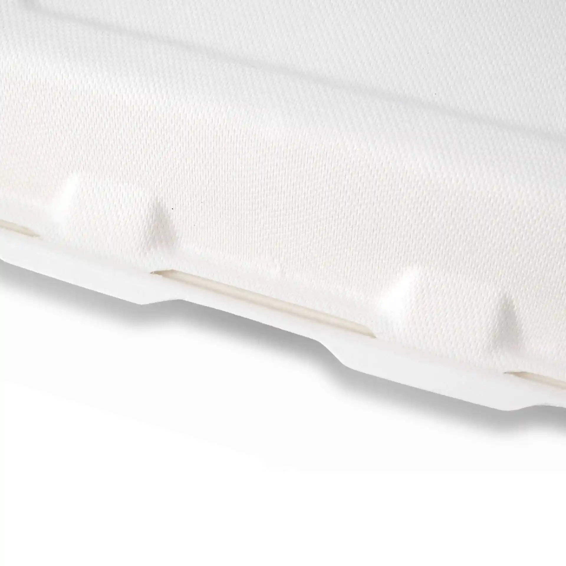 Gros plan d'un conteneur de menu rectangulaire blanc en canne à sucre avec un couvercle à charnière et deux compartiments.