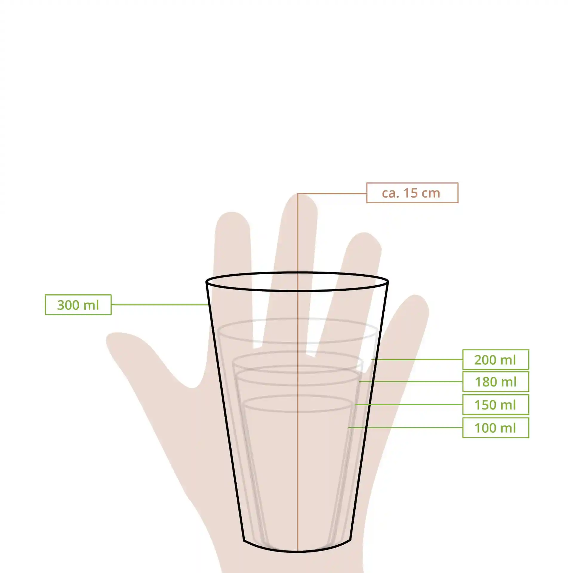 Dessin schématique d'un gobelet avec des lignes de mesure montrant les marques de hauteur et de volume de 100 ml à 300 ml.