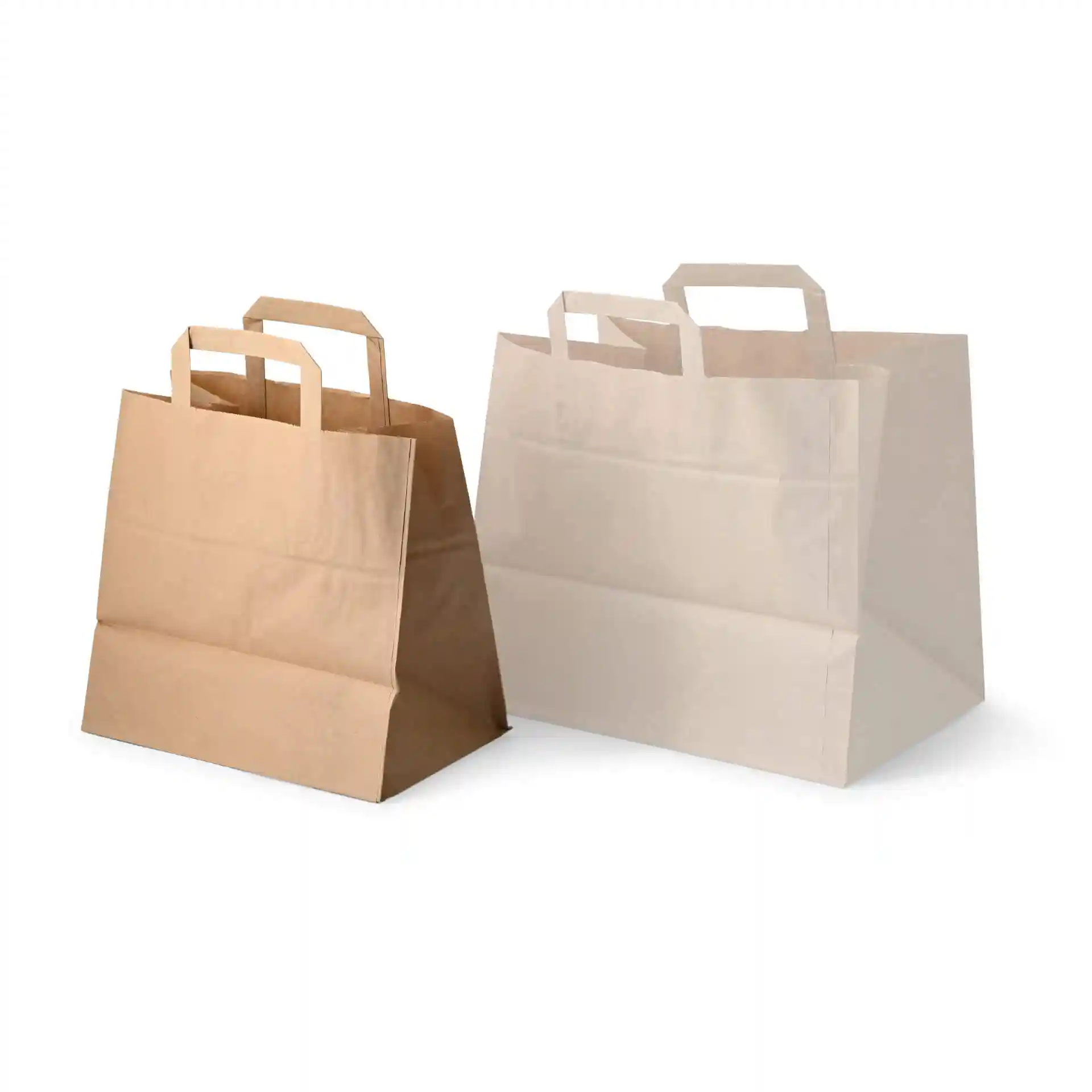 Deux sacs en papier, un marron et un blanc, avec des poignées plates et une base rectangulaire.