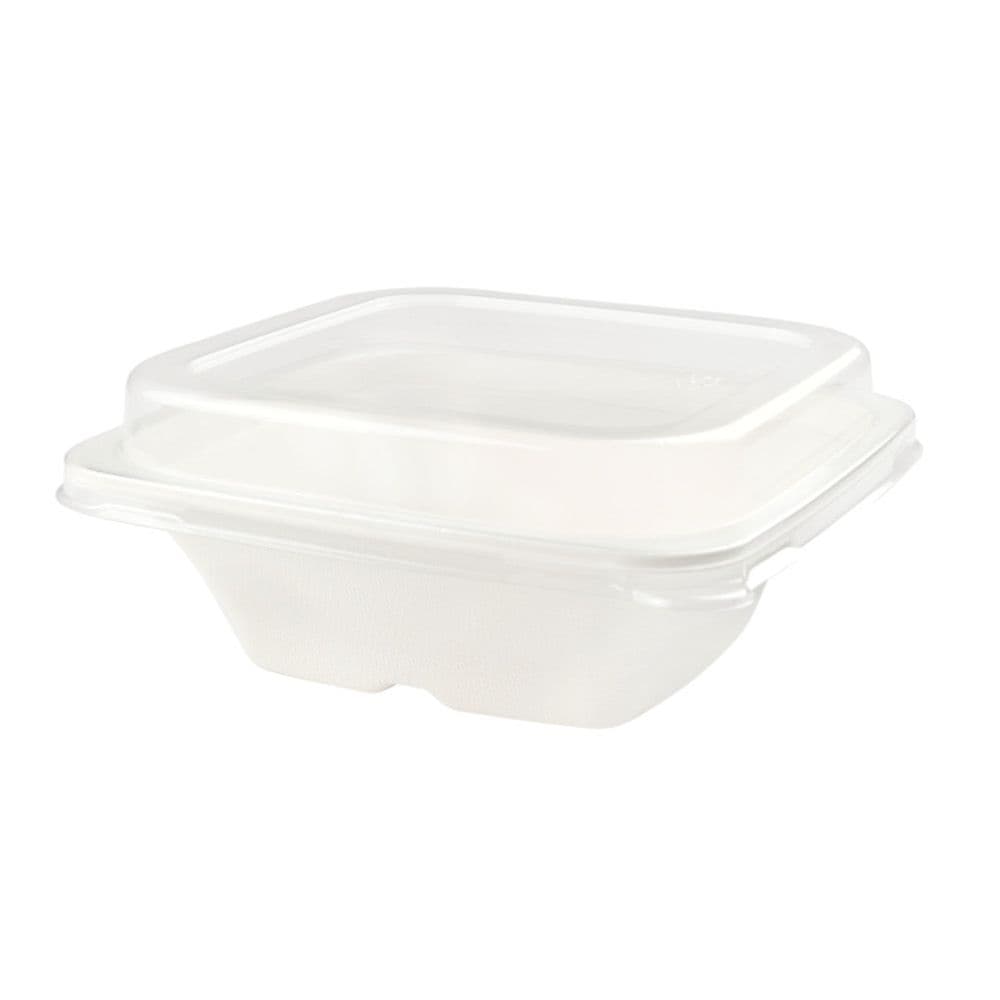 Zuckerrohr-Schalen 800 ml, 18 x 18 x 7 cm, quadratisch