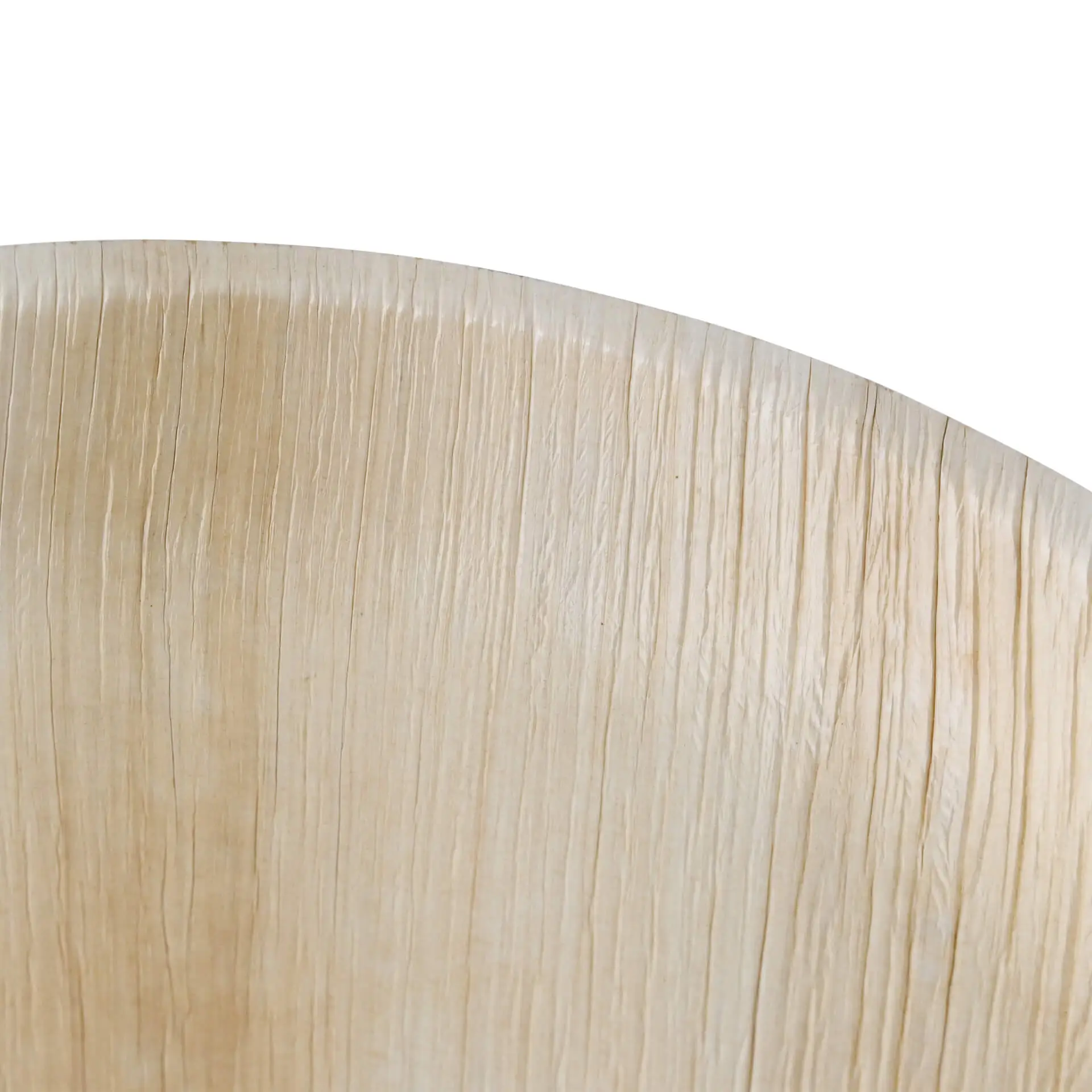 dtw05370-palmblatt-teller-palmware-25-cm-rund-2
