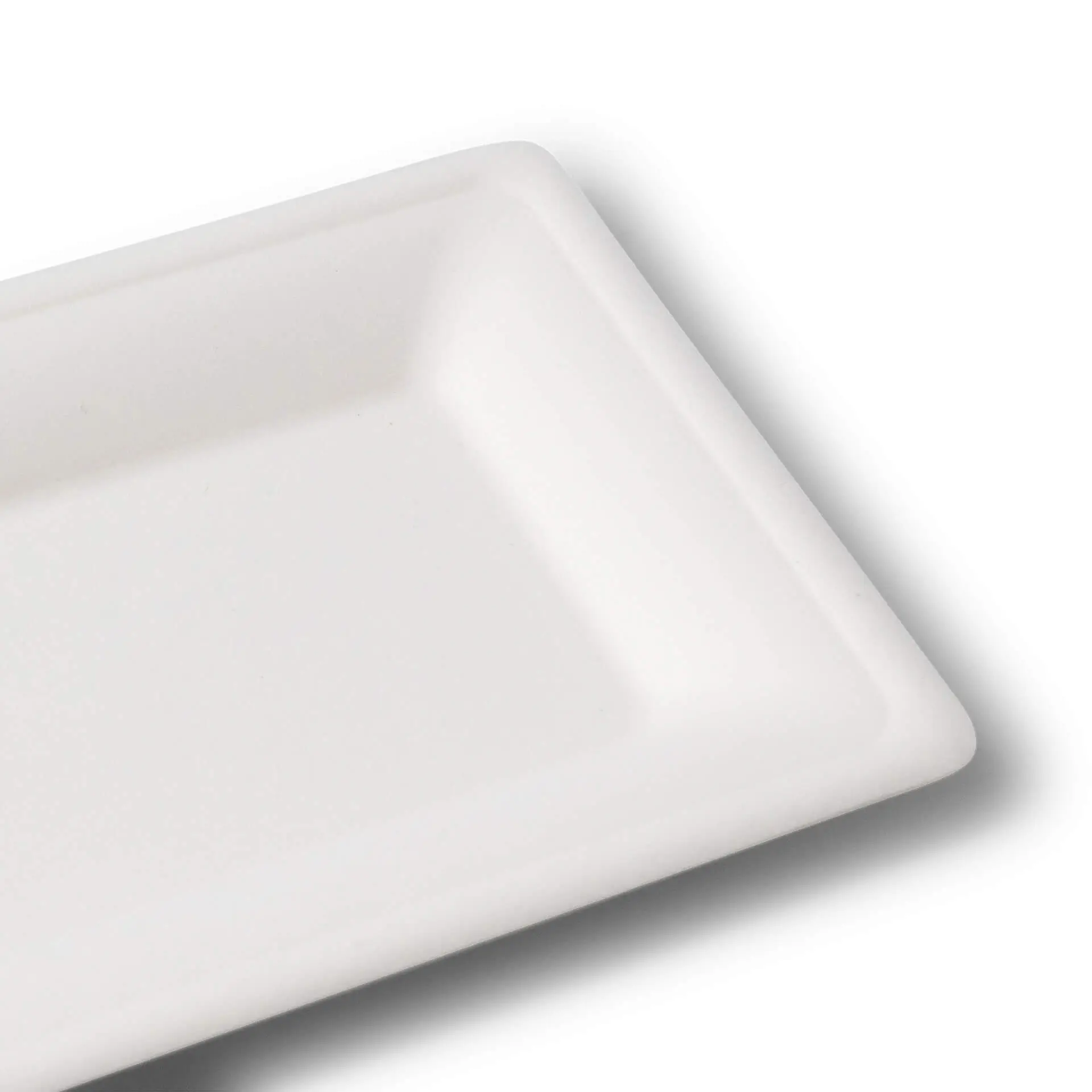 Assiette rectangulaire en canne à sucre blanche, mesurant 26 x 13 cm, avec un fond plat et des bords lisses.