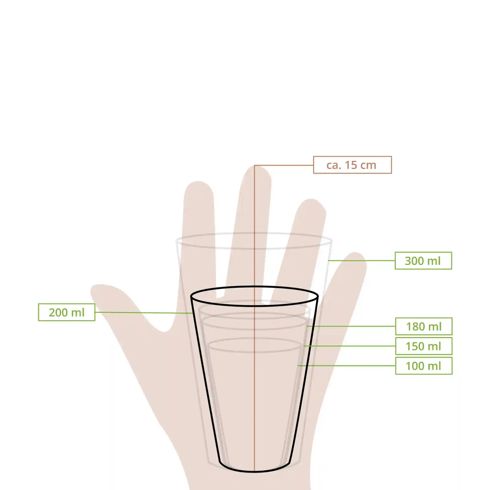 Dessin schématique d'un gobelet avec des lignes de mesure indiquant la hauteur et des marques de volume jusqu'à 300 ml.