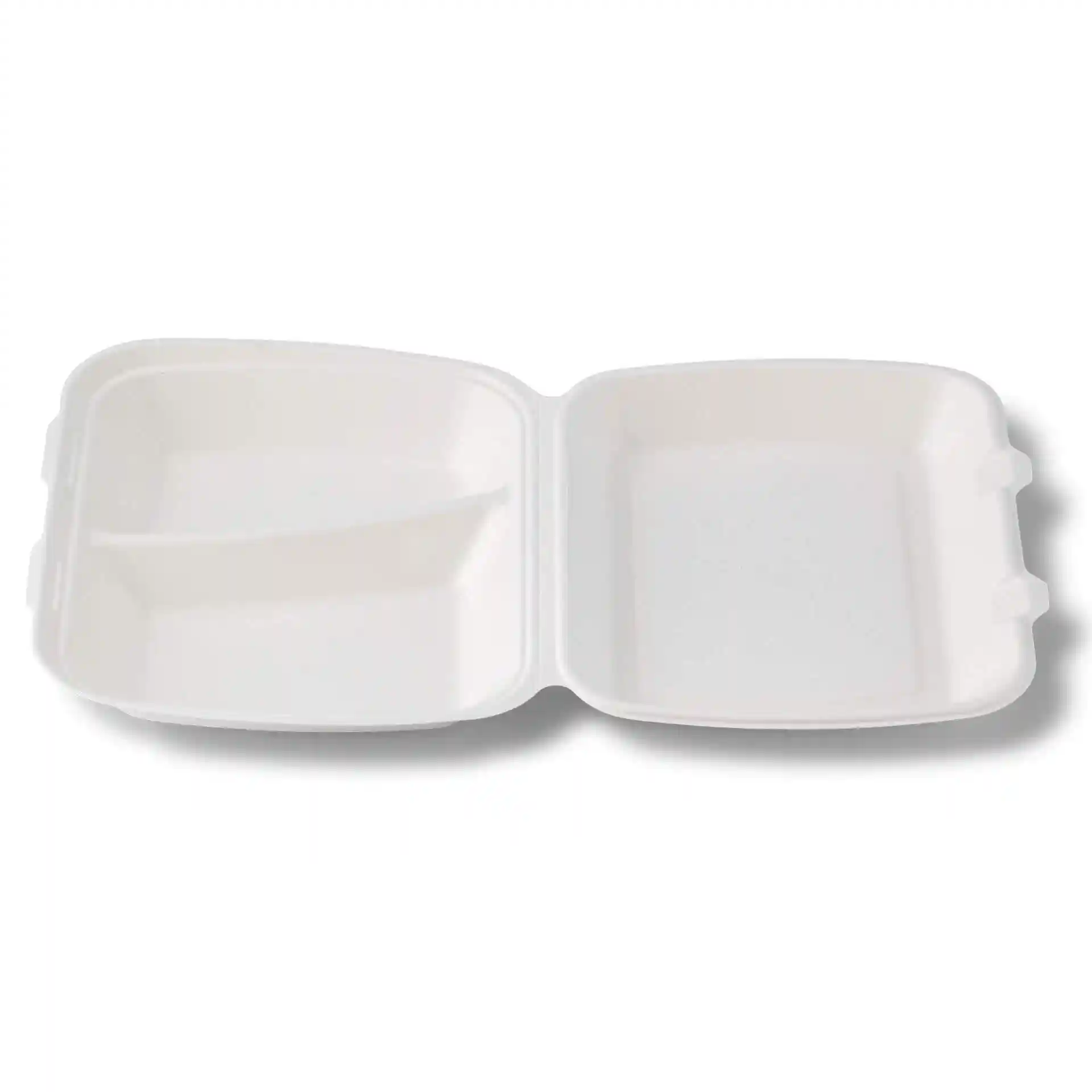 Conteneur rectangulaire en canne à sucre blanc avec deux compartiments et couvercle articulé, mesurant 25 x 20 x 7,5 cm.