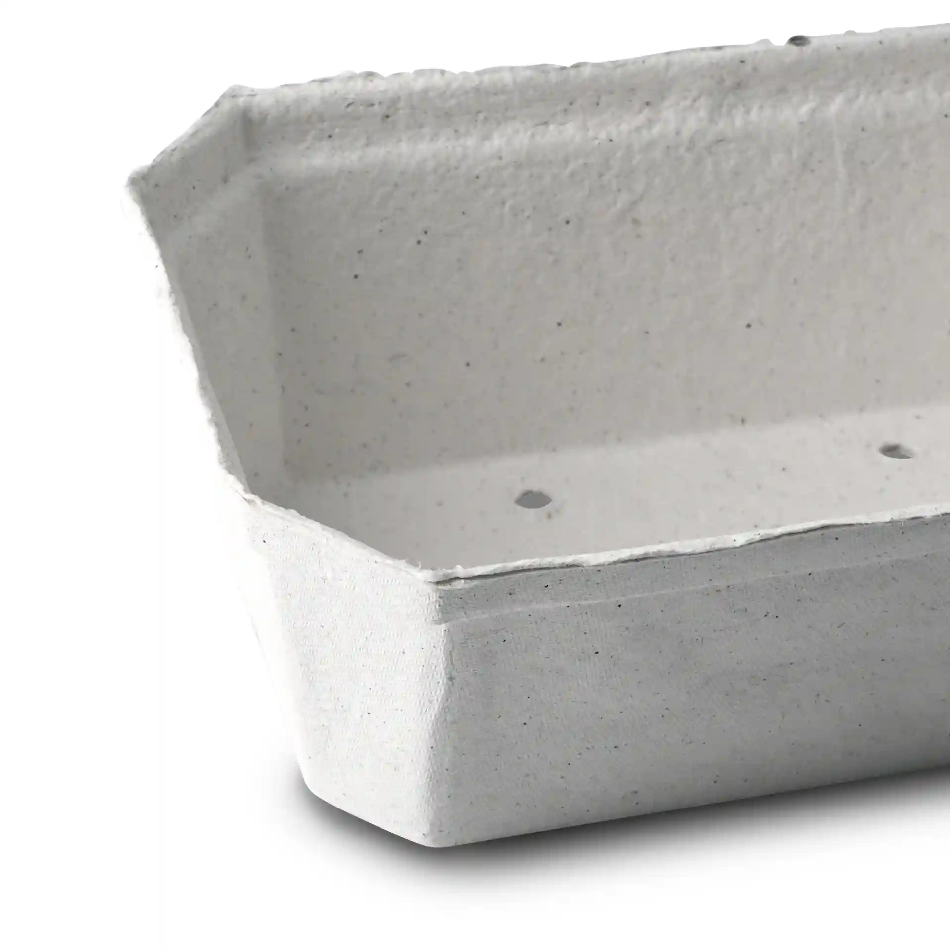 Barquette à baies en pulpe de bois blanc, de forme rectangulaire avec des trous de drainage, mesurant 185 mm de long et 115 mm de large.