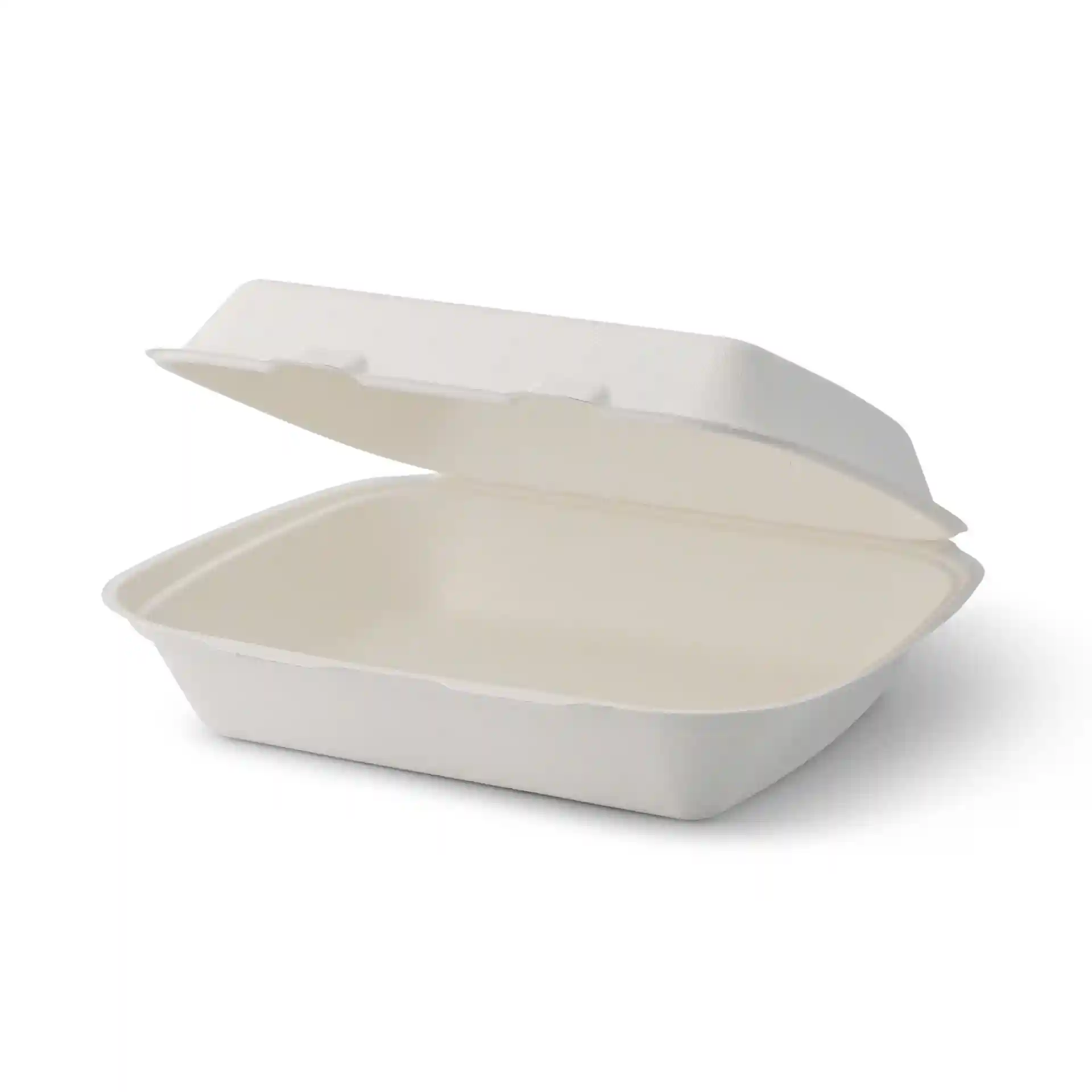 Conteneur rectangulaire blanc en canne à sucre avec couvercle à charnière, mesurant 25 x 20 x 7,5 cm, montré ouvert.