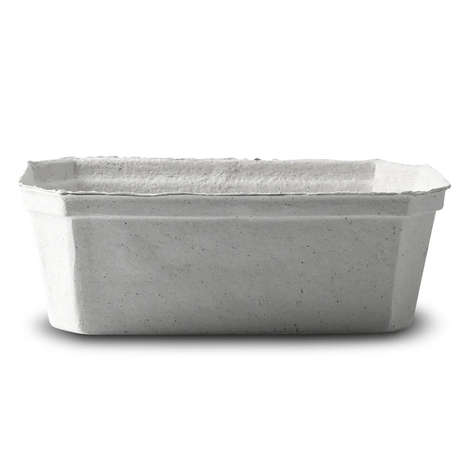 Plateau en pulpe de bois blanc, idéal pour les fruits frais comme les fraises et les myrtilles ; conçu pour les marchés et les étals de produits.