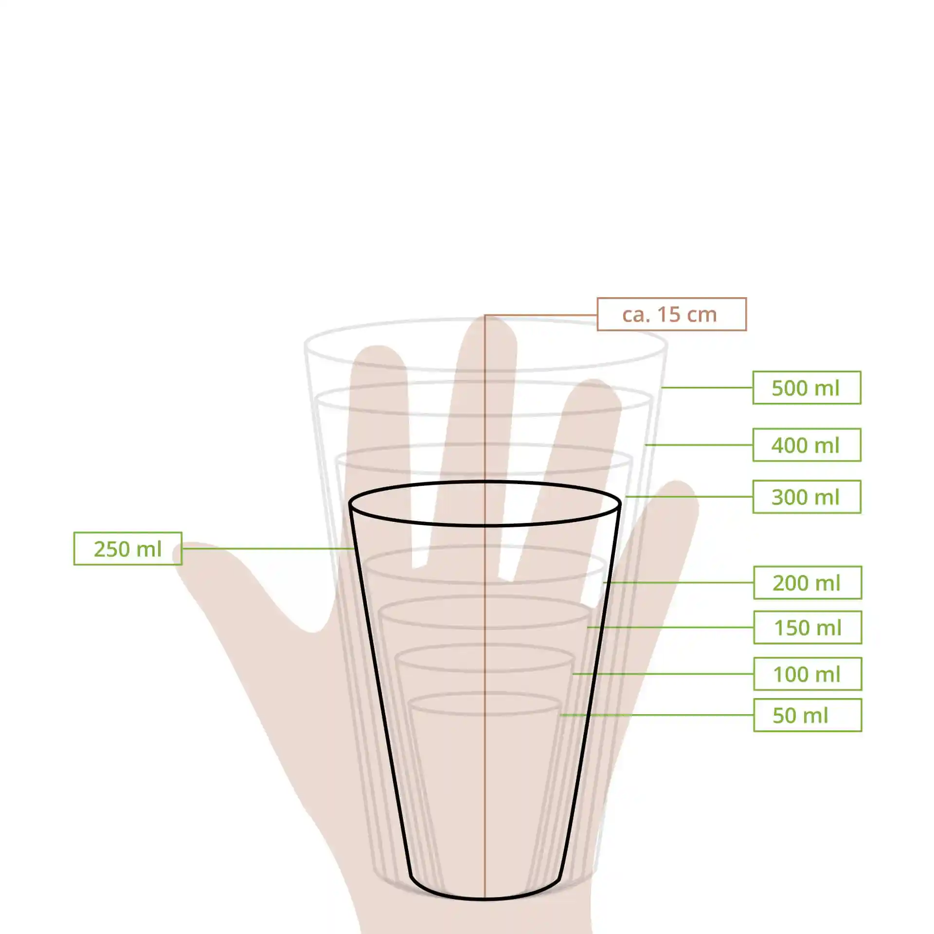 Dessin schématique d'un gobelet avec des lignes de mesure indiquant des volumes de 50 ml à 500 ml et une hauteur d'environ 15 cm.