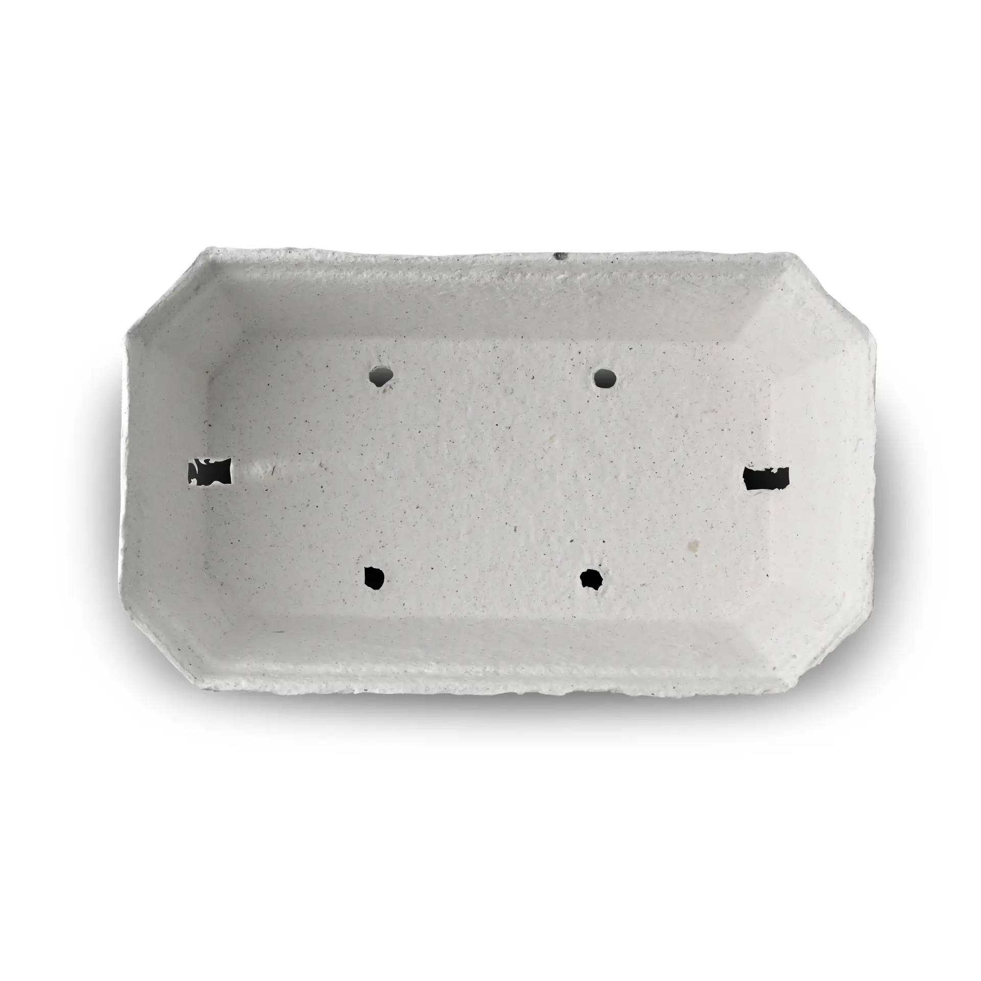 Plateau à baies blanc en carton de bois; conçu pour les produits frais comme les fraises et les framboises.