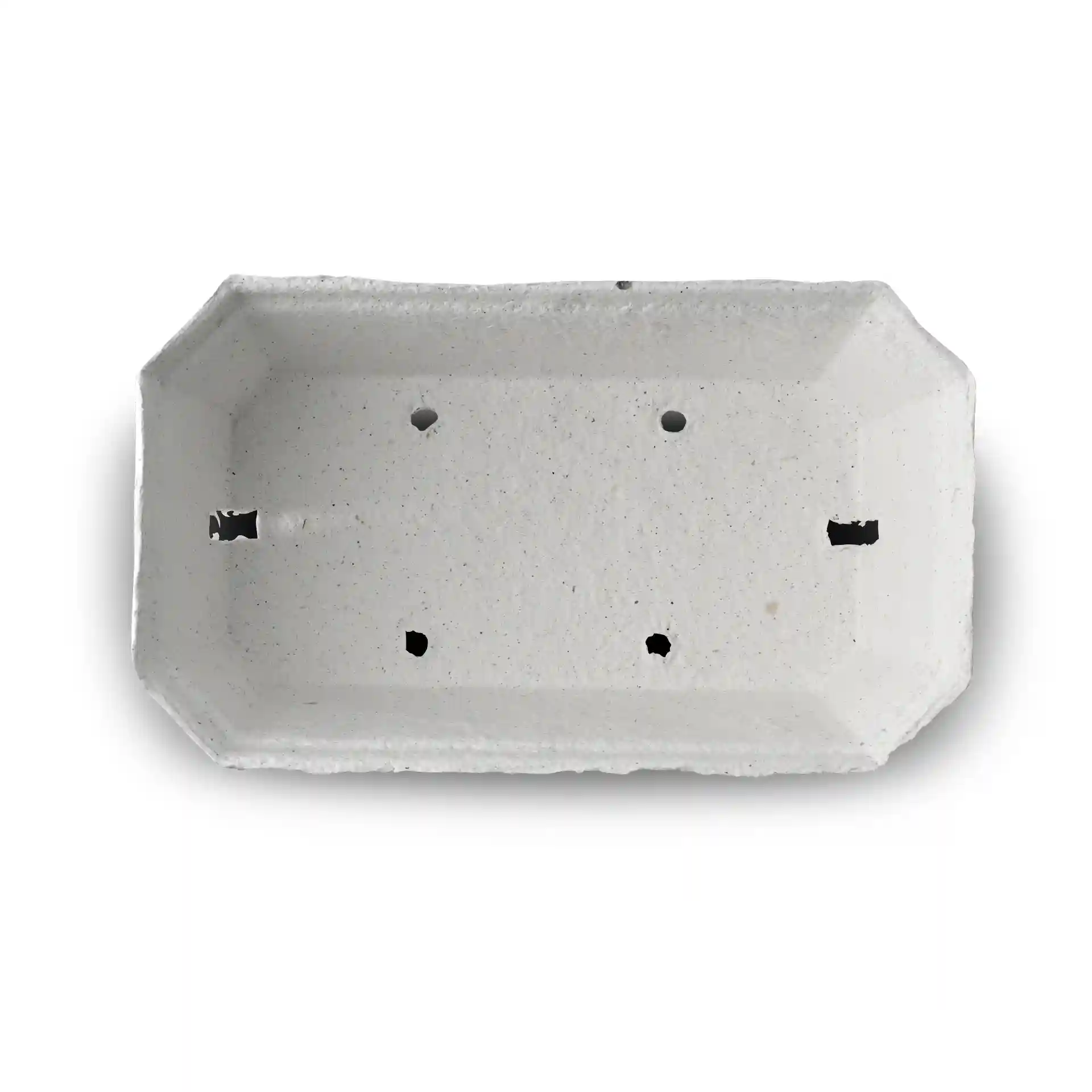 Barquette en pulpe de bois blanche en forme octogonale avec des trous de drainage, mesurant 185 mm de long et 115 mm de large.