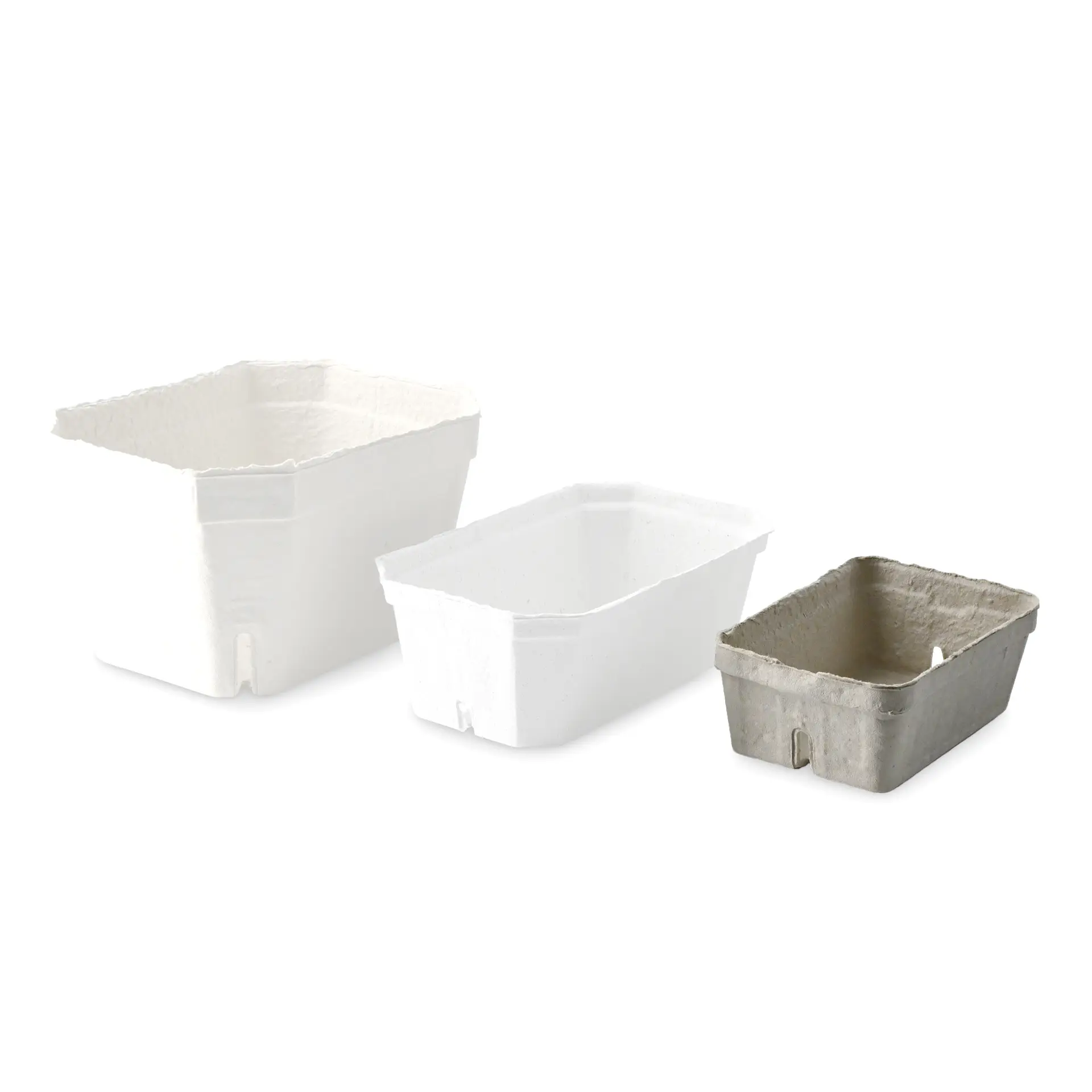 Trois plateaux à baies en focus : un plateau blanc en carton de bois, un plateau blanc et un plateau gris à côté.