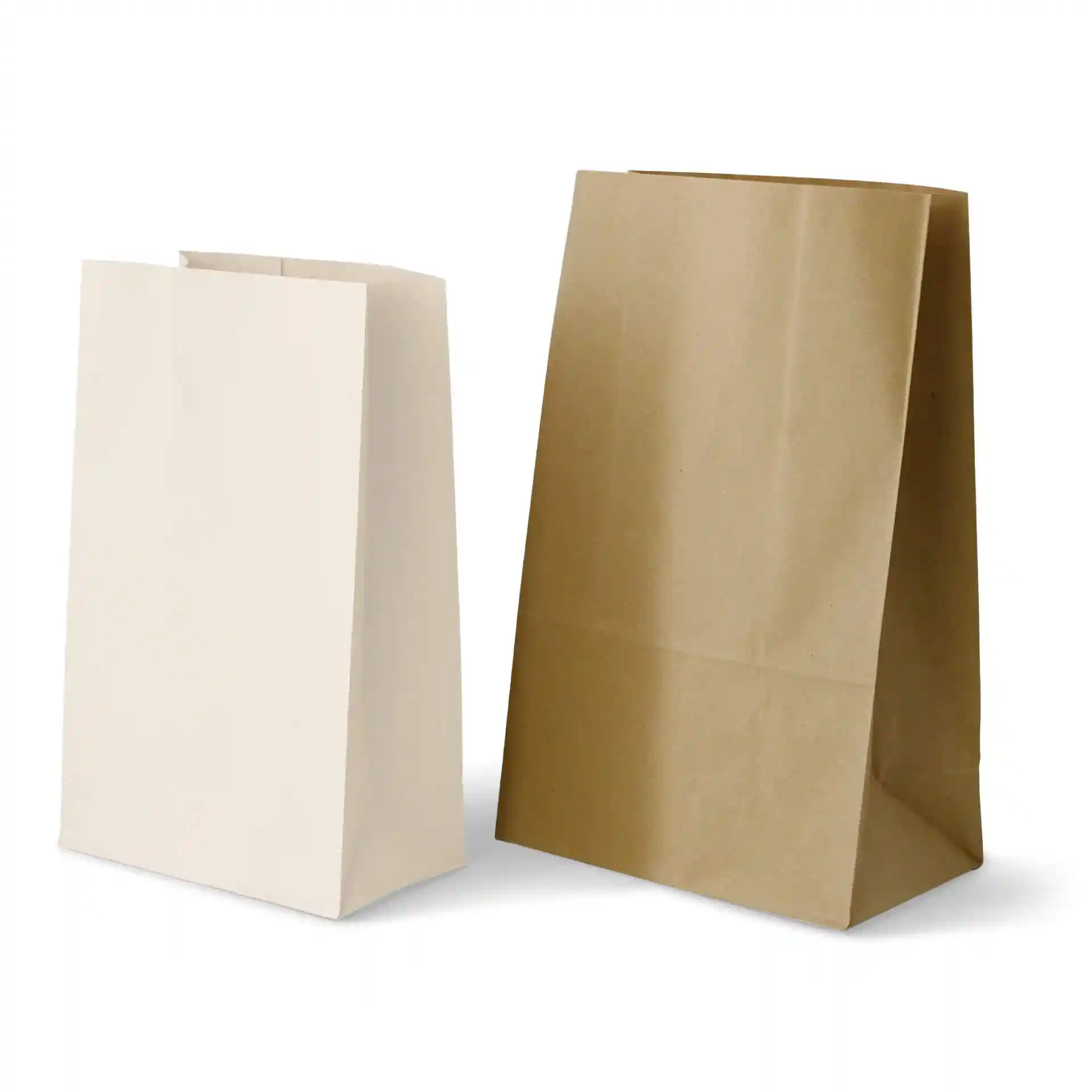 Deux sacs de shopping rectangulaires, un blanc et un marron, affichés côte à côte sur un fond uni.
