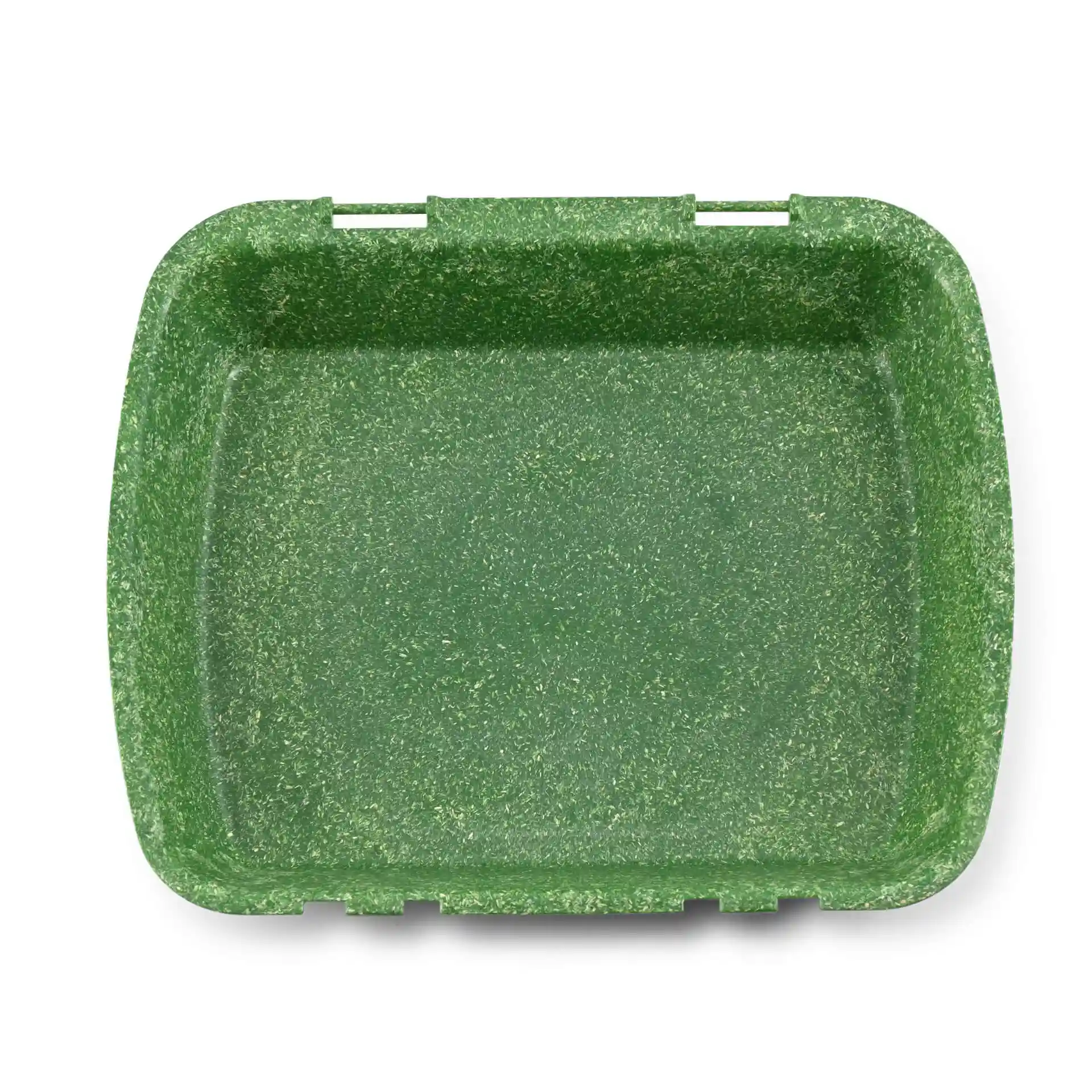 Conteneur de menu rectangulaire vert réutilisable avec surface texturée, mesurant 24,5 x 20 x 4,5 cm.