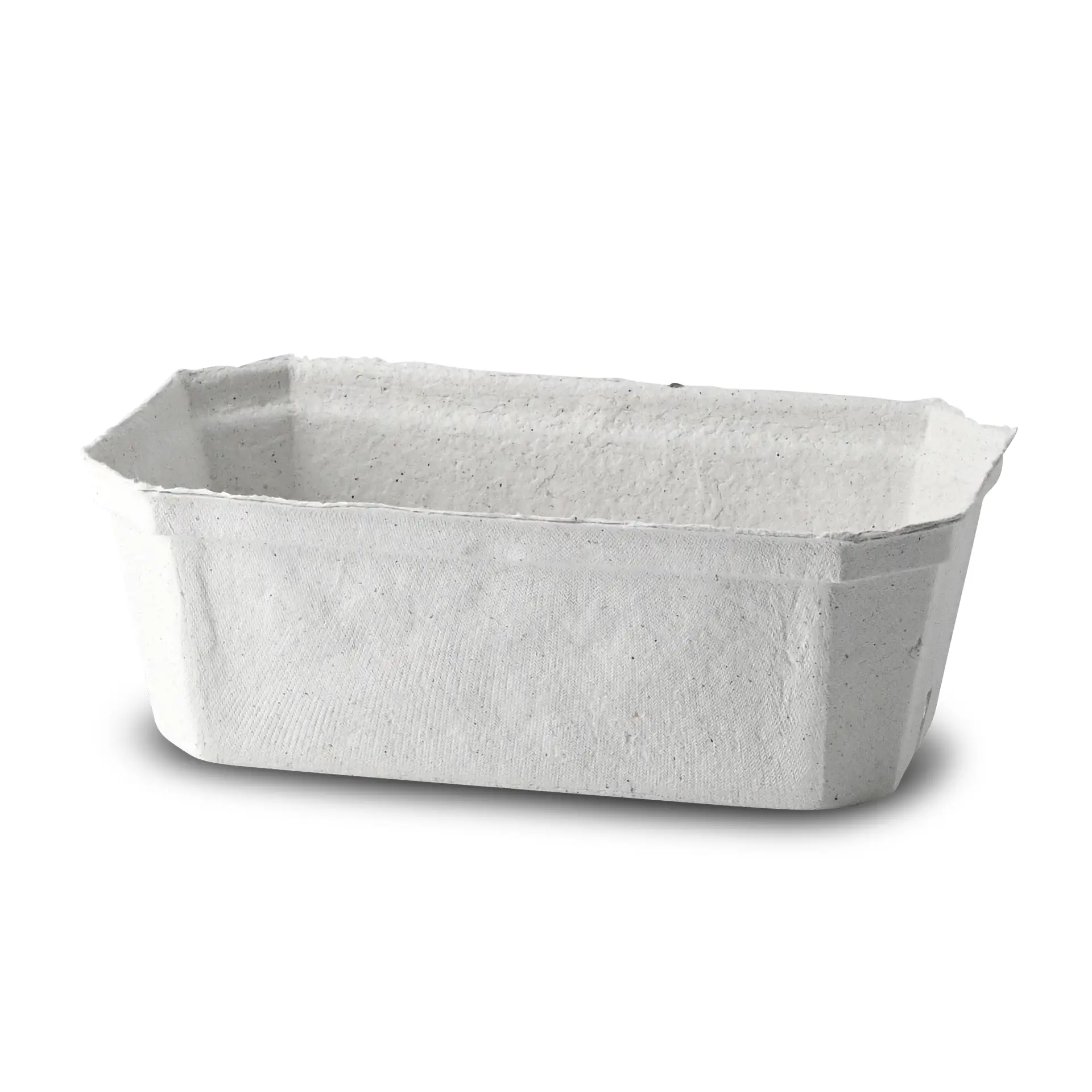 Plateau à baies en pâte de bois blanc, conçu pour les baies fraîches et les produits. Idéal pour les marchés de producteurs et les vendeurs directs.