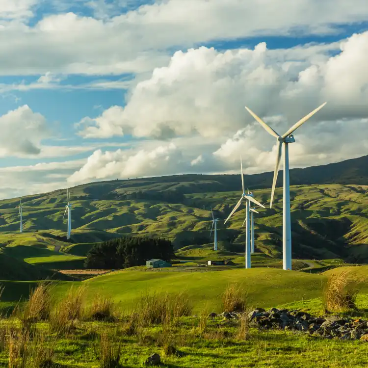 windkraftnatur