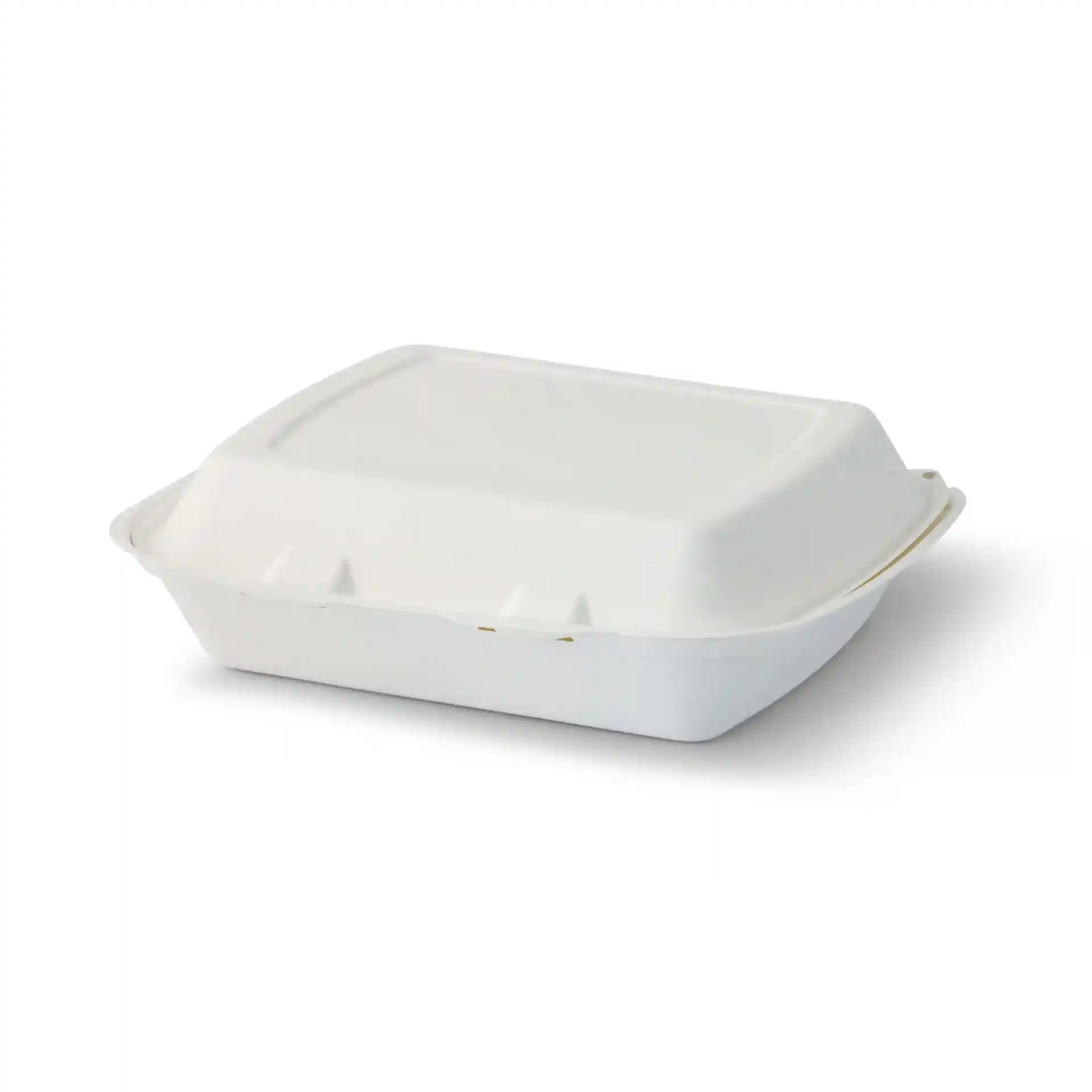 Conteneur rectangulaire blanc à couvercle articulé en canne à sucre, mesurant 25 x 20 x 7,5 cm.
