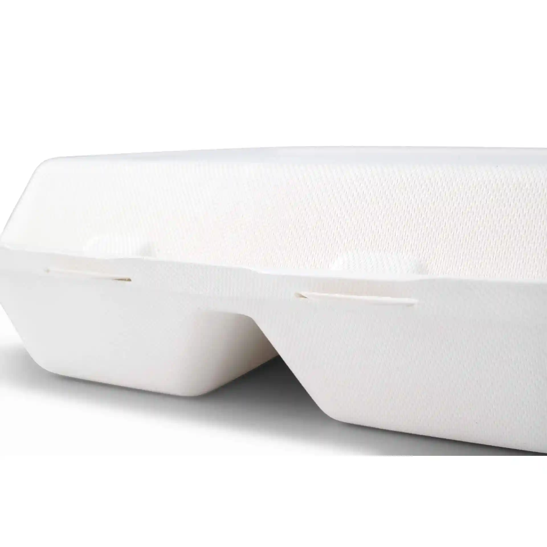 Conteneur rectangulaire blanc en canne à sucre avec couvercle à charnière et deux compartiments, mesurant 25 x 20 x 7,5 cm.