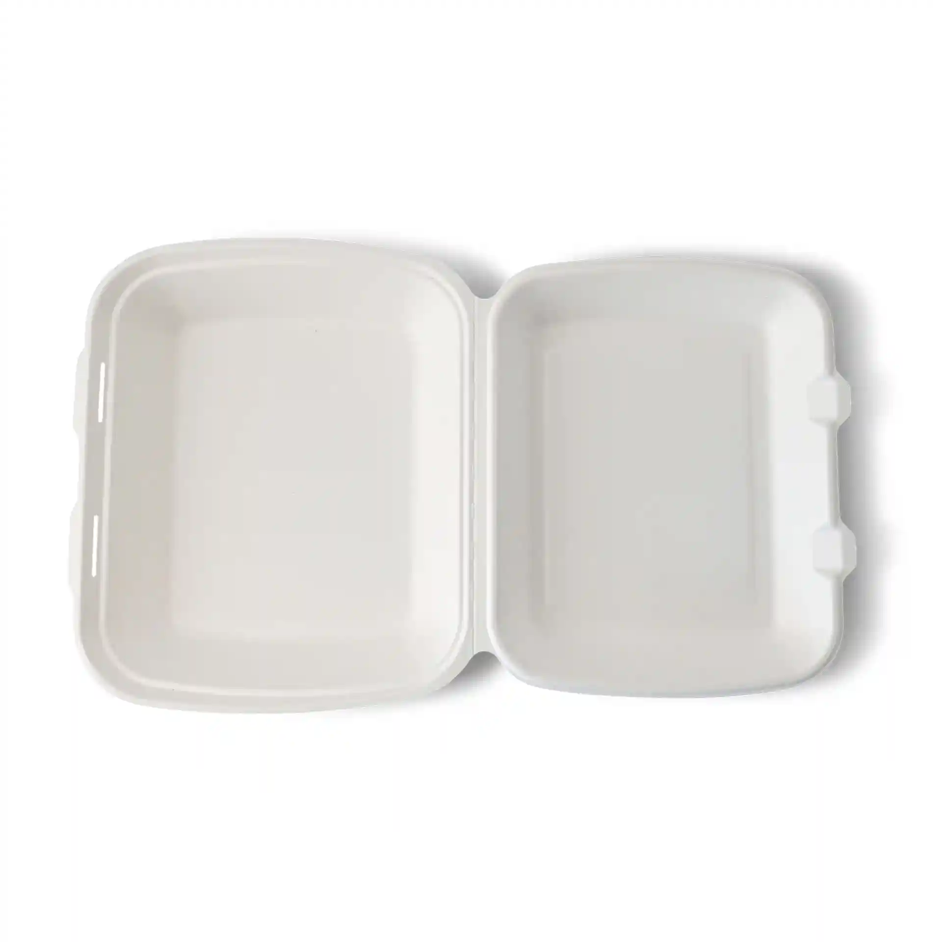 Conteneur rectangulaire blanc à couvercle articulé en canne à sucre, mesurant 25 x 20 x 7,5 cm, avec un intérieur lisse.