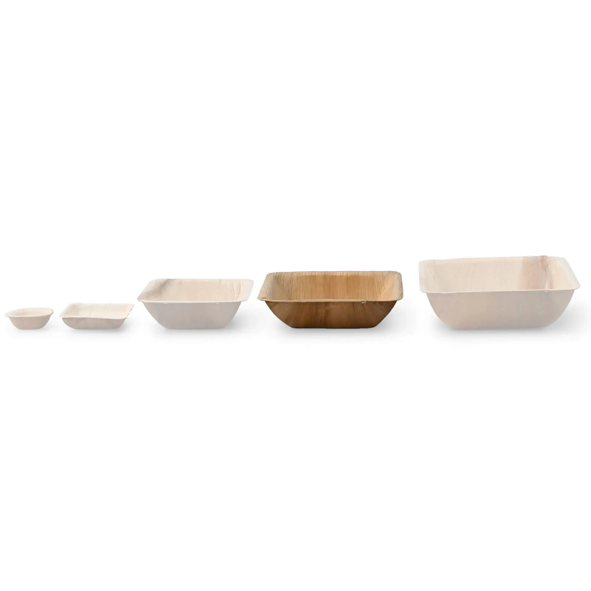 dtw05461-palmblatt-schalen-palmware-600-ml-quadratisch-9